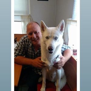 Meet your Posher, Donald